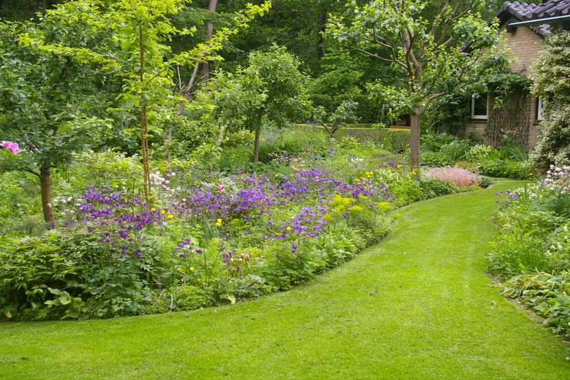 lezing els de weijer1 groei bloei veluwezoom