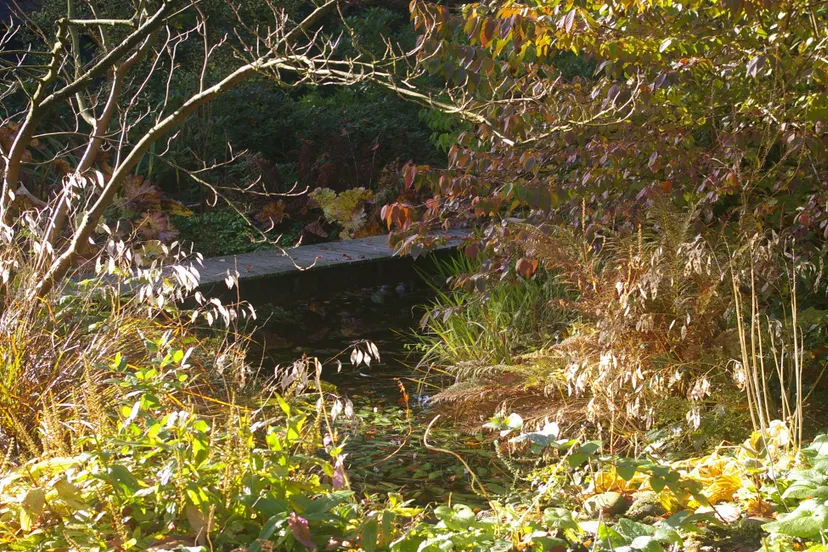 lezing groei bloei veluwezoom1 tineke makel 2
