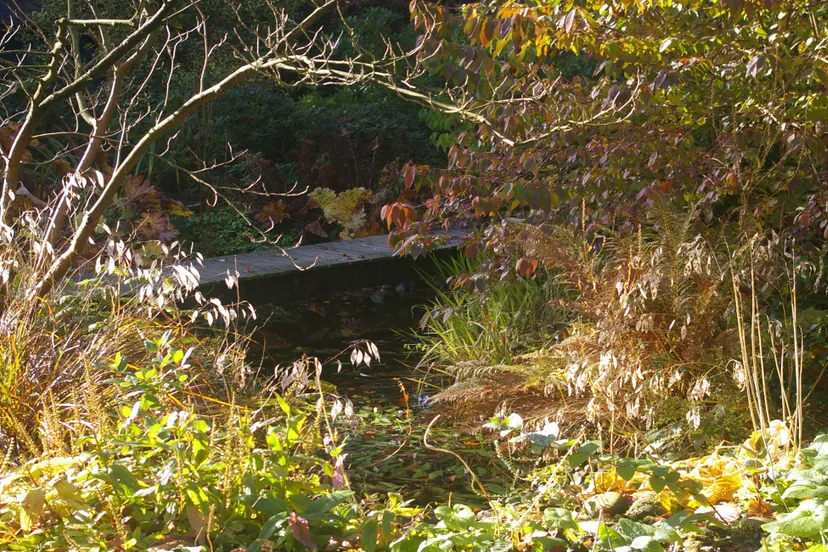 lezing groei bloei veluwezoom1 tineke makel