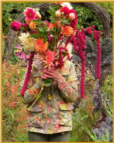 lezing marieke nolsen