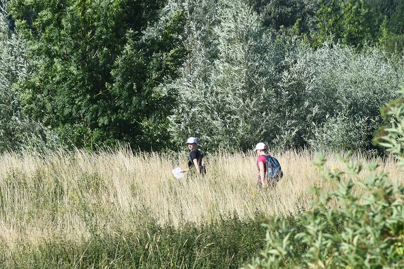 liemers posbankloop wandeltochten