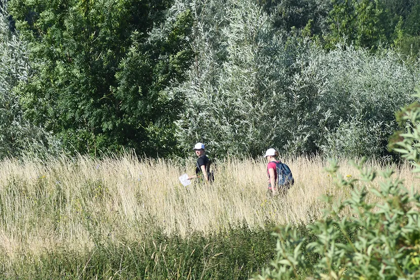 liemers posbankloop wandeltochten