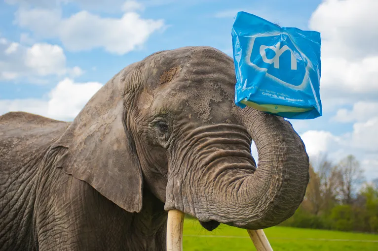 lmtfbiwulcjj9wbn9g4fhpzsj 136568