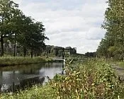 loiydqfcmqs1txodhu1ufpaw0 87130