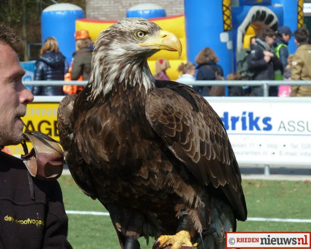 lxq3v334sx27x5zm5jqjudxlb 223098