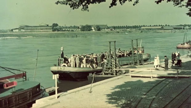 m21j29x2jsjdwfo0wsvp3bl1m ga1