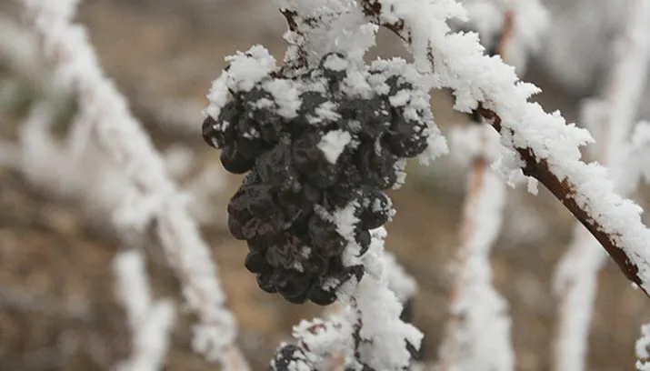 m5e3 via fotercom cc by