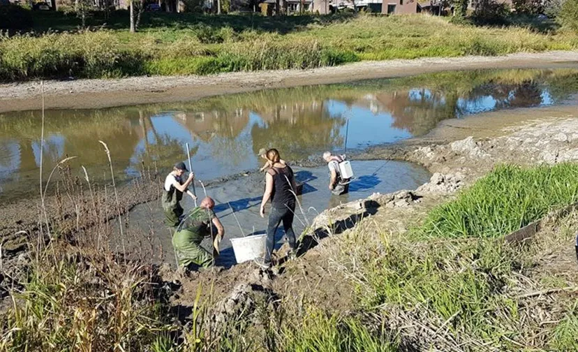 marianne grotenbreg1