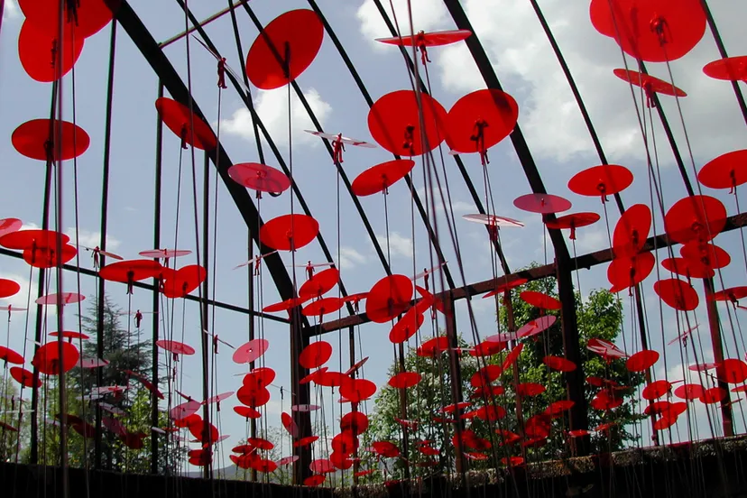 mark kramer coquelicots jaujac f 2006