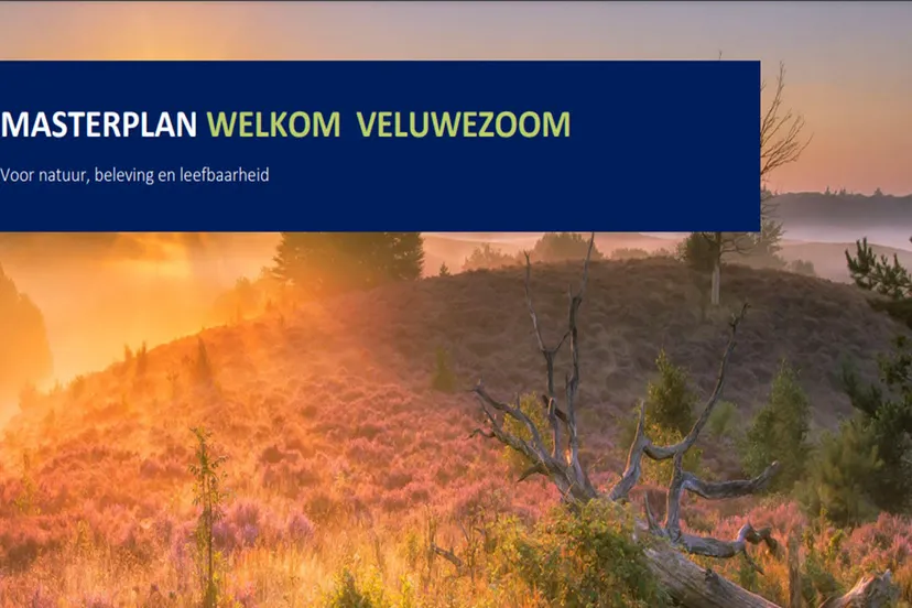 masterplan veluwezoom gemeente rheden