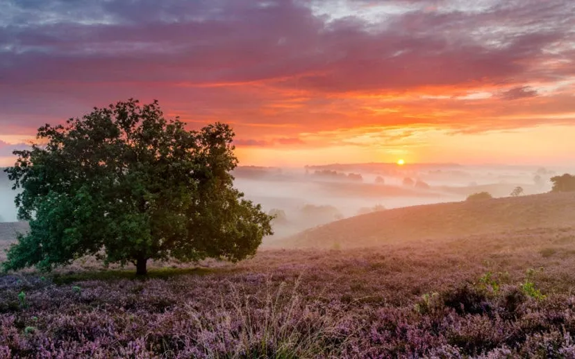 masterplan veluwezoom posbank sander grefte