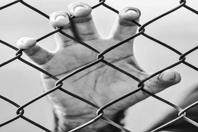 mensenhandel anesty international