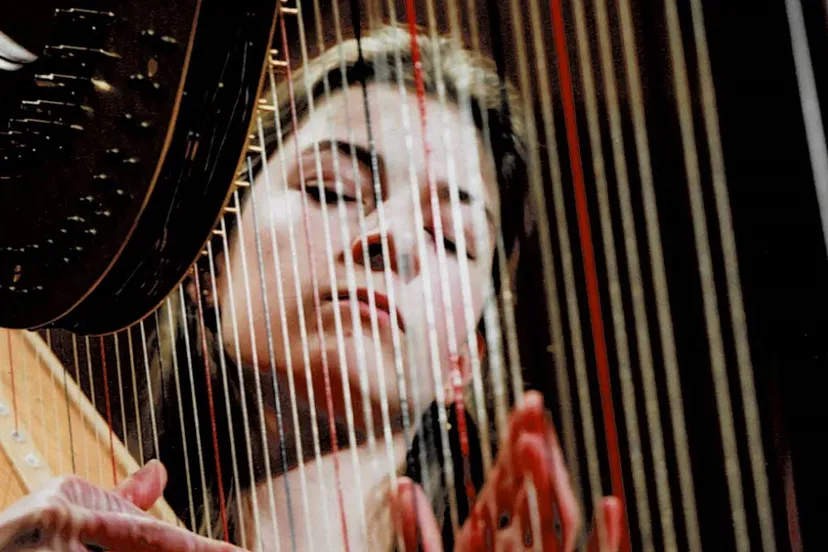 merle van der lijke harp marjankafotografie