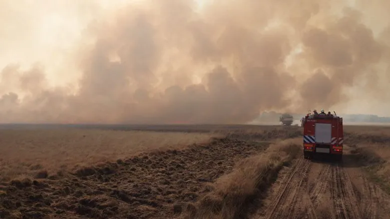 mhbbtccofcpyxz30glzf1jqcl hoenderloo hoge veluwe brand