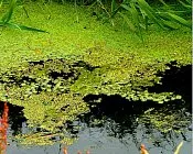 mibsgijlk4obqsf4kba155k7b 147448