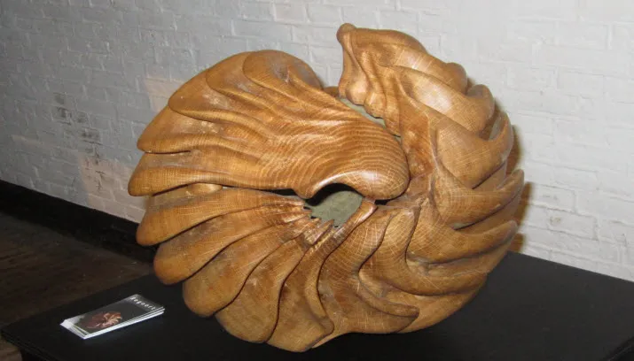 middachten 1boom img 0554 1