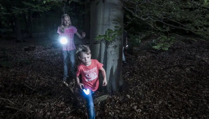 midzomernacht persfoto janko van beek