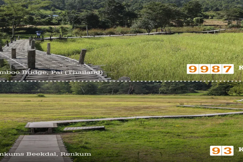mooidichtbij toerisme veluwe arnhem nijmegen