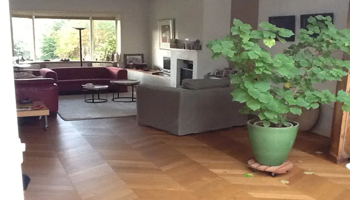 muziek bij de buren2