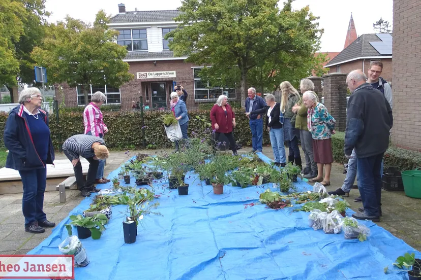 najaarsplantenruilbeurs groei bloei 12 10 2019 1