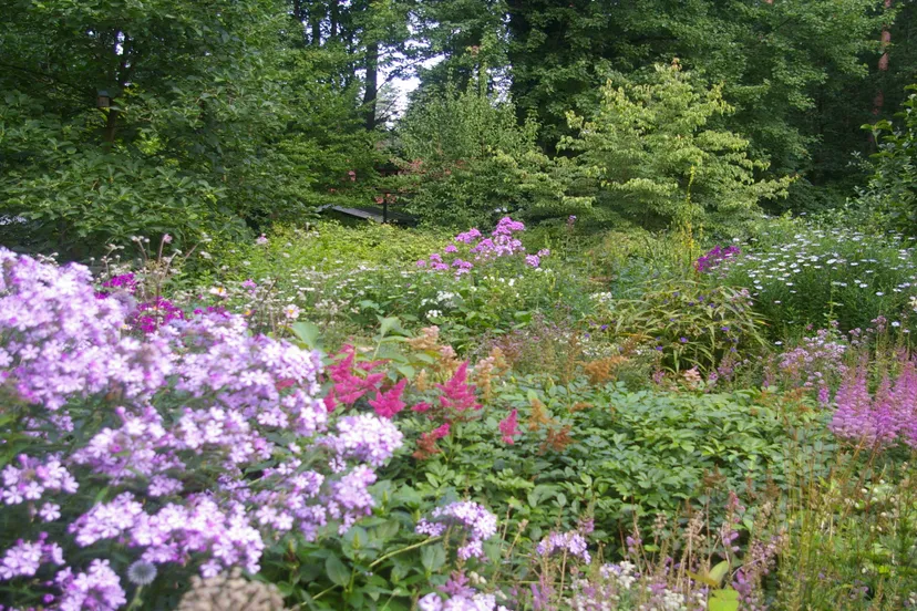 najaarsplantenruilbeurs groei bloei veluwezoom