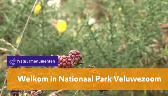 nationaal park veluwezoom