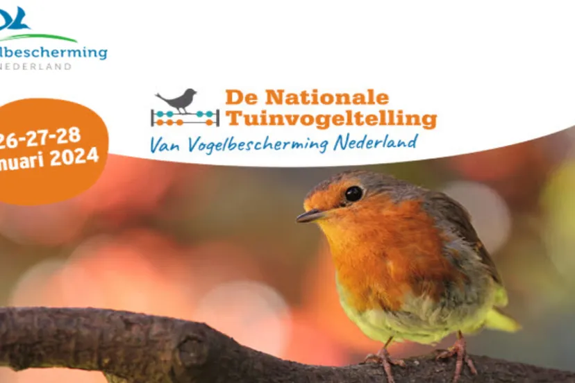 nationale tuinvogeltelling 1