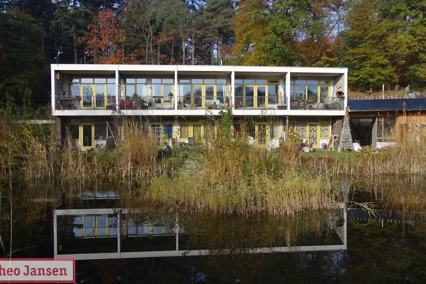 natturwerkdag voormalig zwembad beekhuizen 2018 1