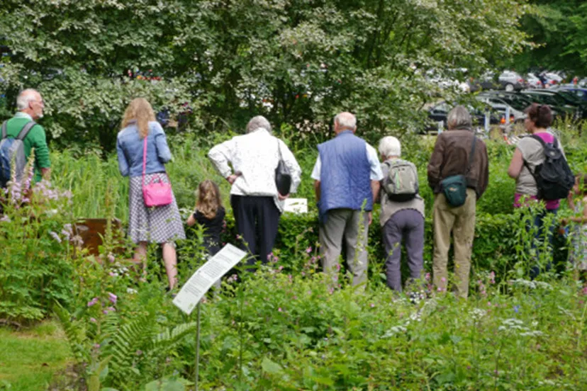 natuur in de buurt ivn oost veluwezoom