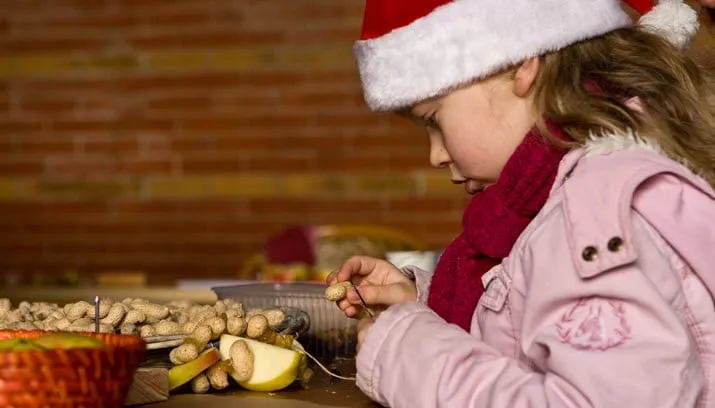 natuurmonumenten help vogels de winter door