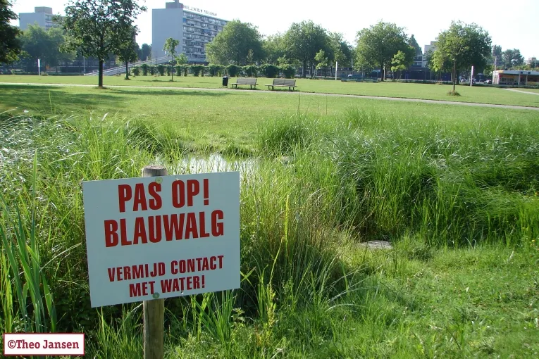 naximtvcvw62htcibbnp7552v park presikhaaf 001