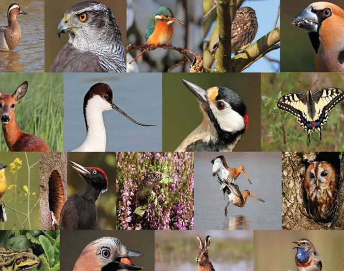 ndswb5zrs1r00ckton89lduut 230104