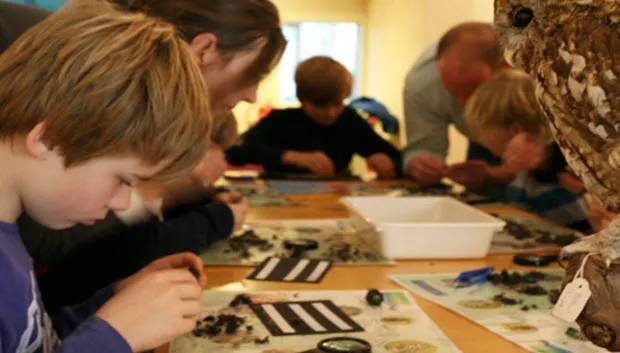 nm3uijgx03yboviq9k2iq7n8g braakballen