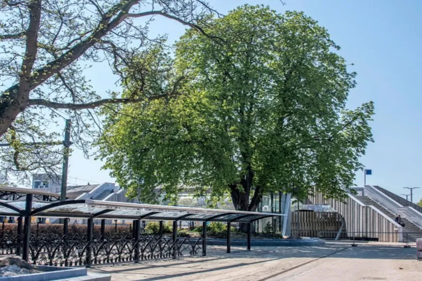noordzijde station dieren traverse dieren