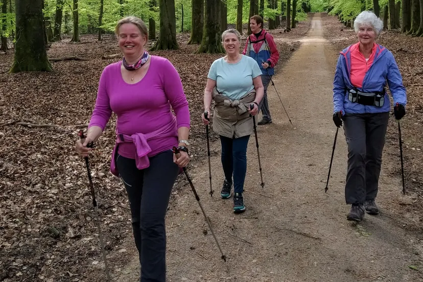 nordic walking avgelre 2022