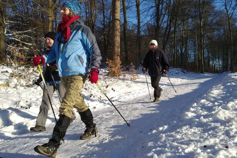 nordic walking in de sneeuw av gelre