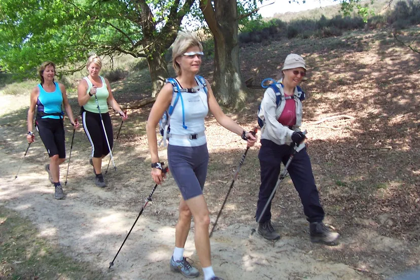 nordic walking