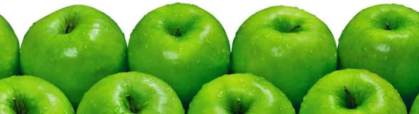 nr89wel2ysd3g2j6lct1ofbq1 wiwika2