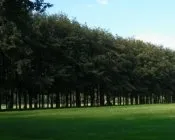 nuzw1zncd9noeup12eiio6wut 86922