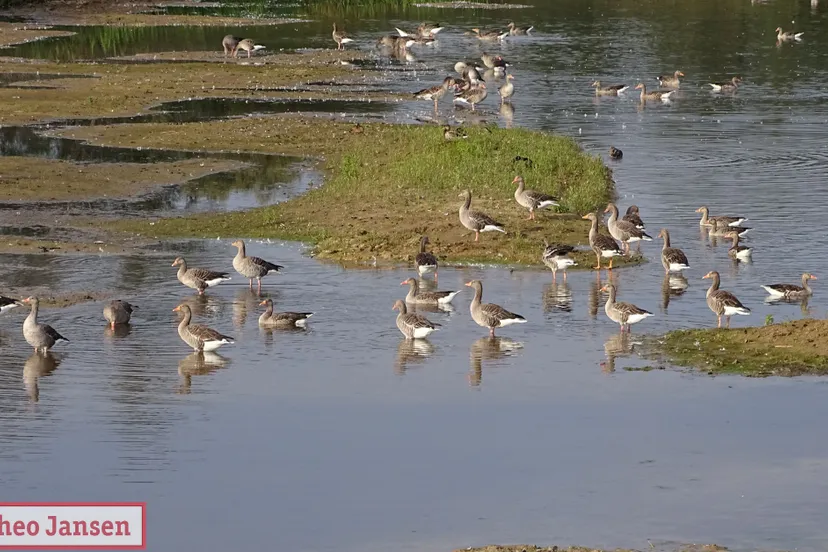 officile opening velperwaarden natuurmonumenten 2019 09 08 12