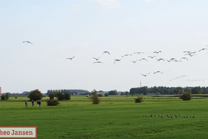 officile opening velperwaarden natuurmonumenten 2019 09 08 22