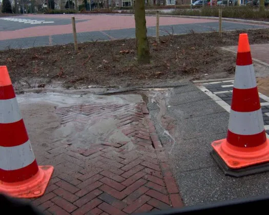 ohgfoknv4tneci68r2x7pcl44 155908