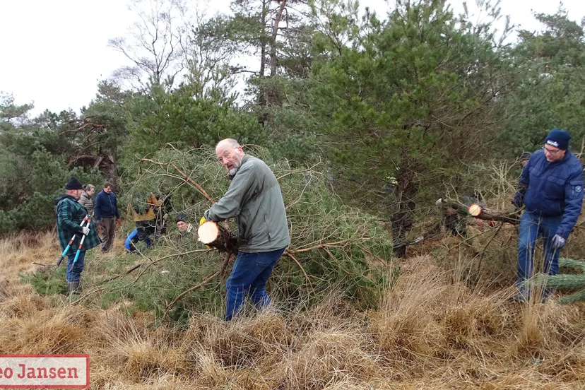 ondanks koude is de heidewerkdag weer een groot succes 25 02 2023 1