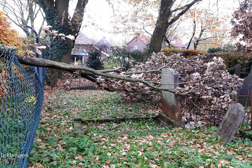 op het hekwerk ale hartgers