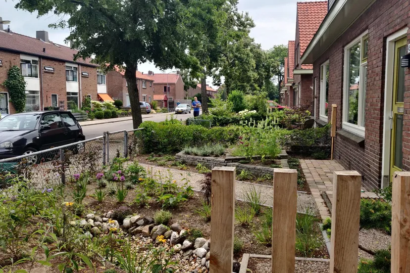 operatie steenbreek dieren berend poppema