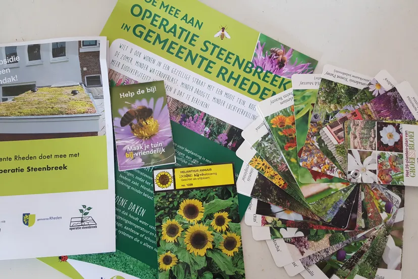 operatie steenbreek gemeente rheden rhedennieuwsnl