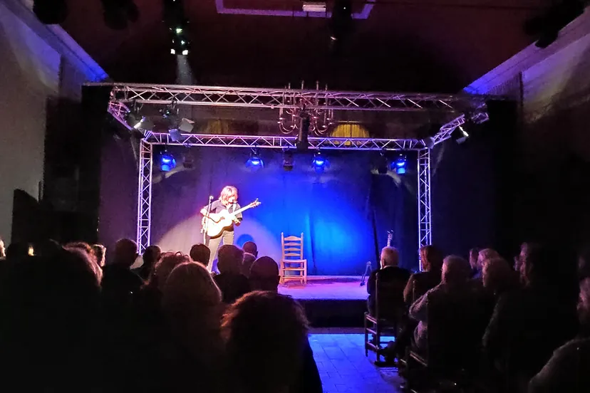 optreden dorine wiersma rhederart