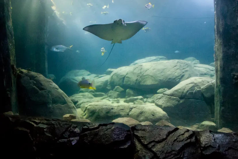 owgvrjeh248i0s1by308y17kp ocean