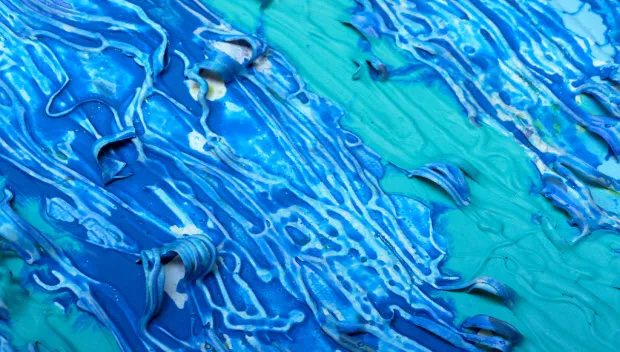 owlxr7pzpt5sul8o83iocnwyr jo debije expo1