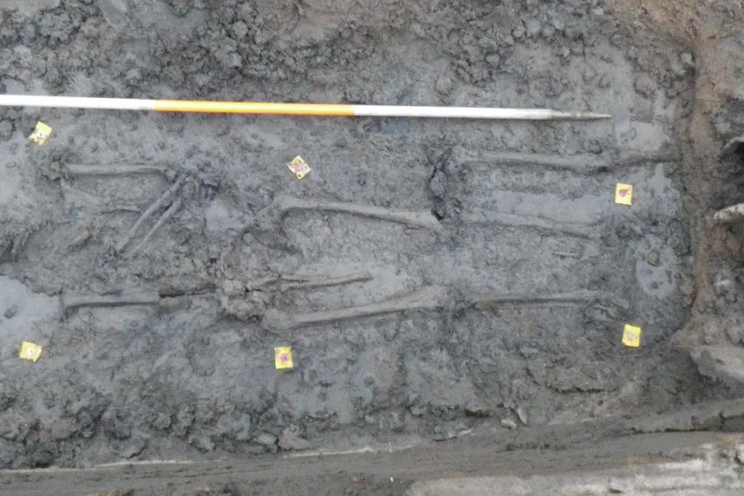 p6ctrgjvc0vs0x886r3xahcsm archeologie